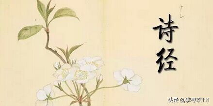 吉鸿昌将军故乡，东有扶亭西有洧水沟得名——中原地名探究之扶沟