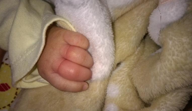 宝宝为什么喜欢薅妈妈头发,宝宝喜欢薅大人头发怎么回事