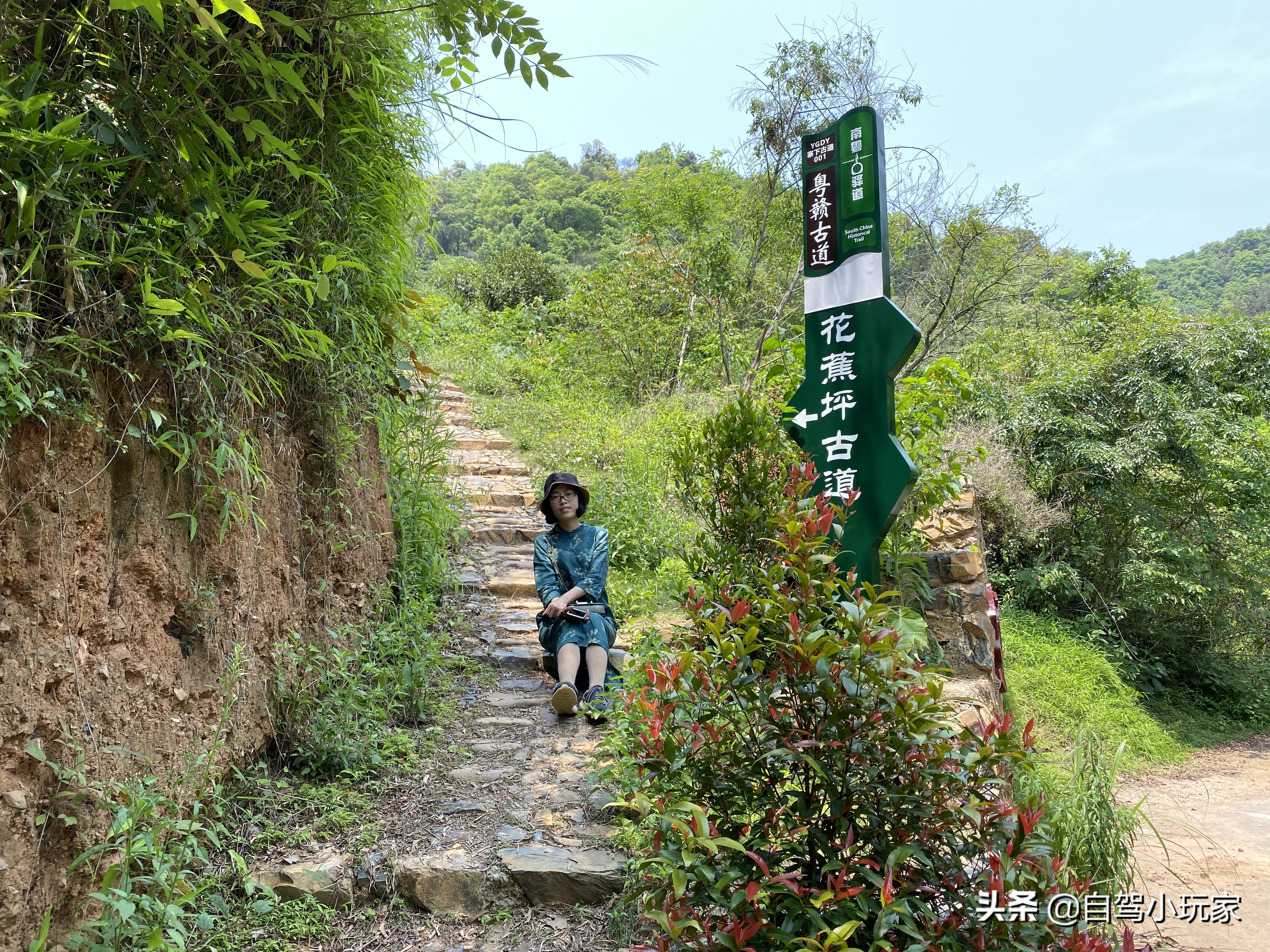 广东游万绿湖,广东河源万绿湖旅游攻略