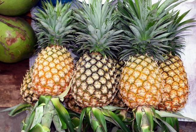 吃菠萝之前必须用盐水泡吗,吃菠萝之前应该用淡盐水泡一下吗