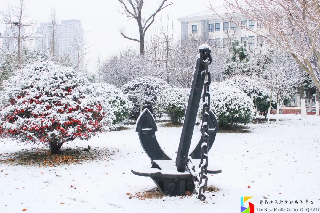 选择青岛港湾的理由,山东职业学院与青岛港湾职业学院
