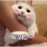 今晚喝什么汤比较好,今晚喝什么牛奶好