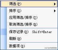 access数据表格式设置方法,access数据表分组