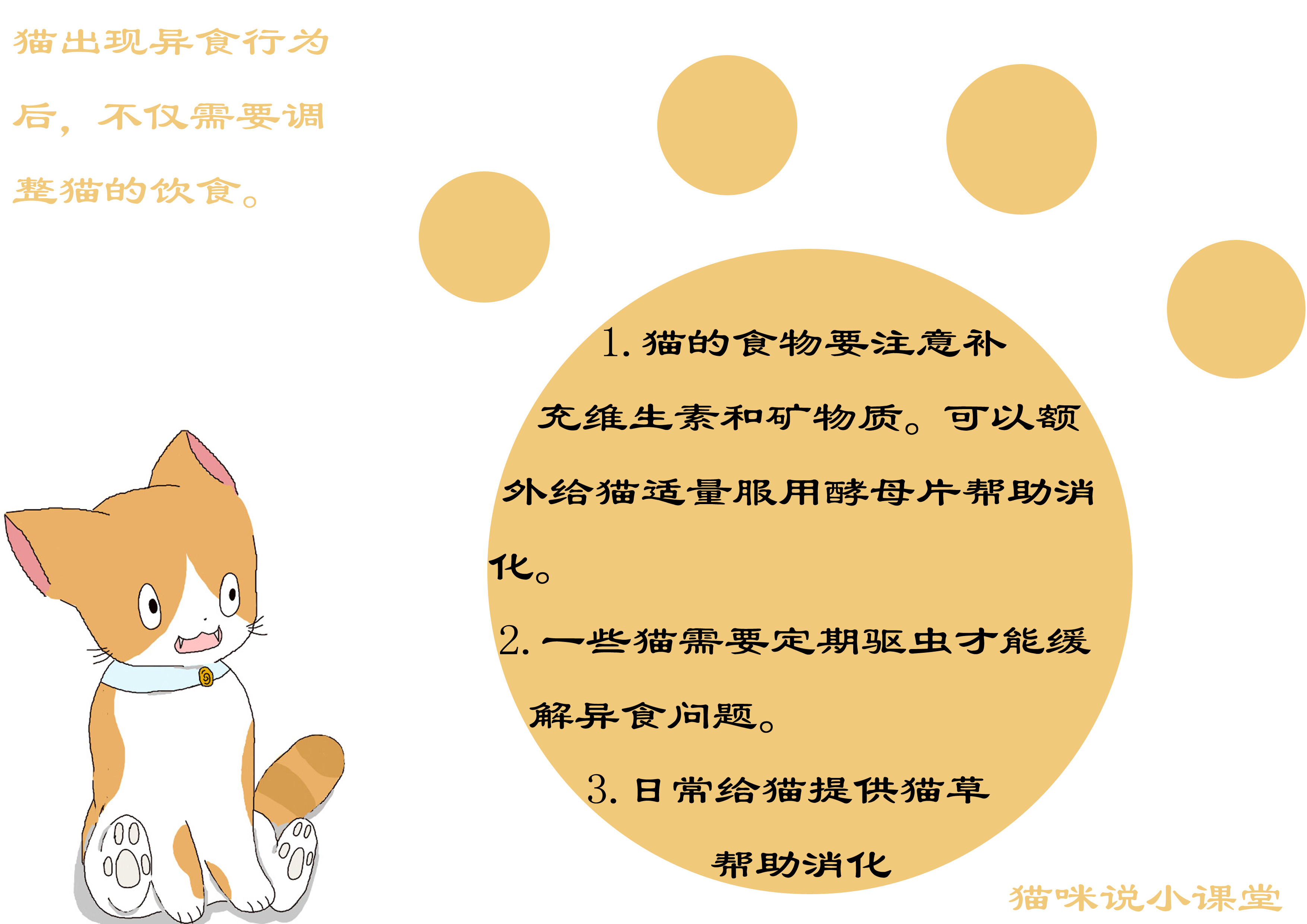 猫喜欢进食异物，长期食物过于单一是原因，但不能忽略换牙等因素