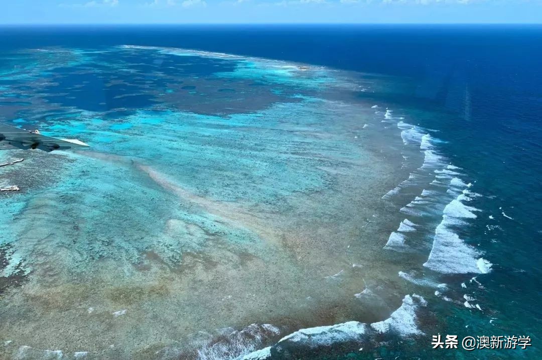 澳洲游学满载而归,澳洲亲子游学日程安排