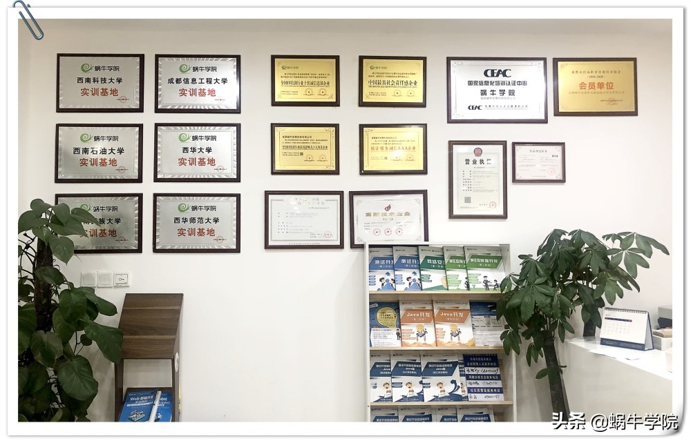 初心与使命：蜗牛学院被华龙网称为值得信赖的IT教育培训机构