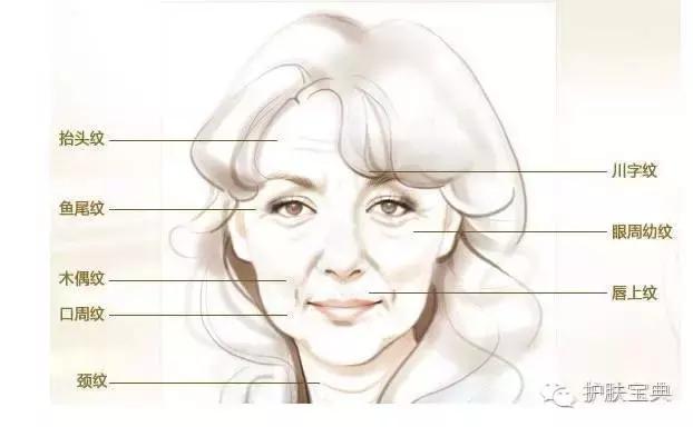 泽佳:长期抗糖,对于抗衰抗皱真的有效果吗?一起来看看吧