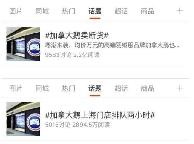 加拿大鹅排队,为什么加拿大鹅这么便宜