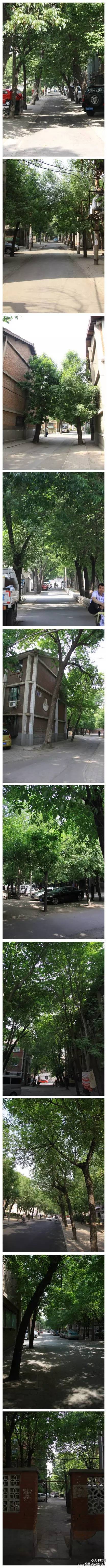 天津八大街景,天津八大馇纪录片