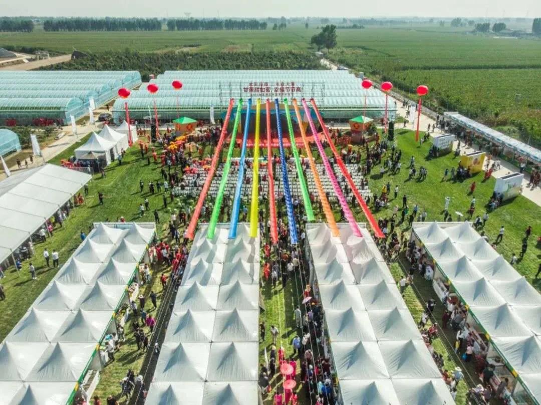 央媒集体点赞,央视新闻联播点赞9万亩小麦