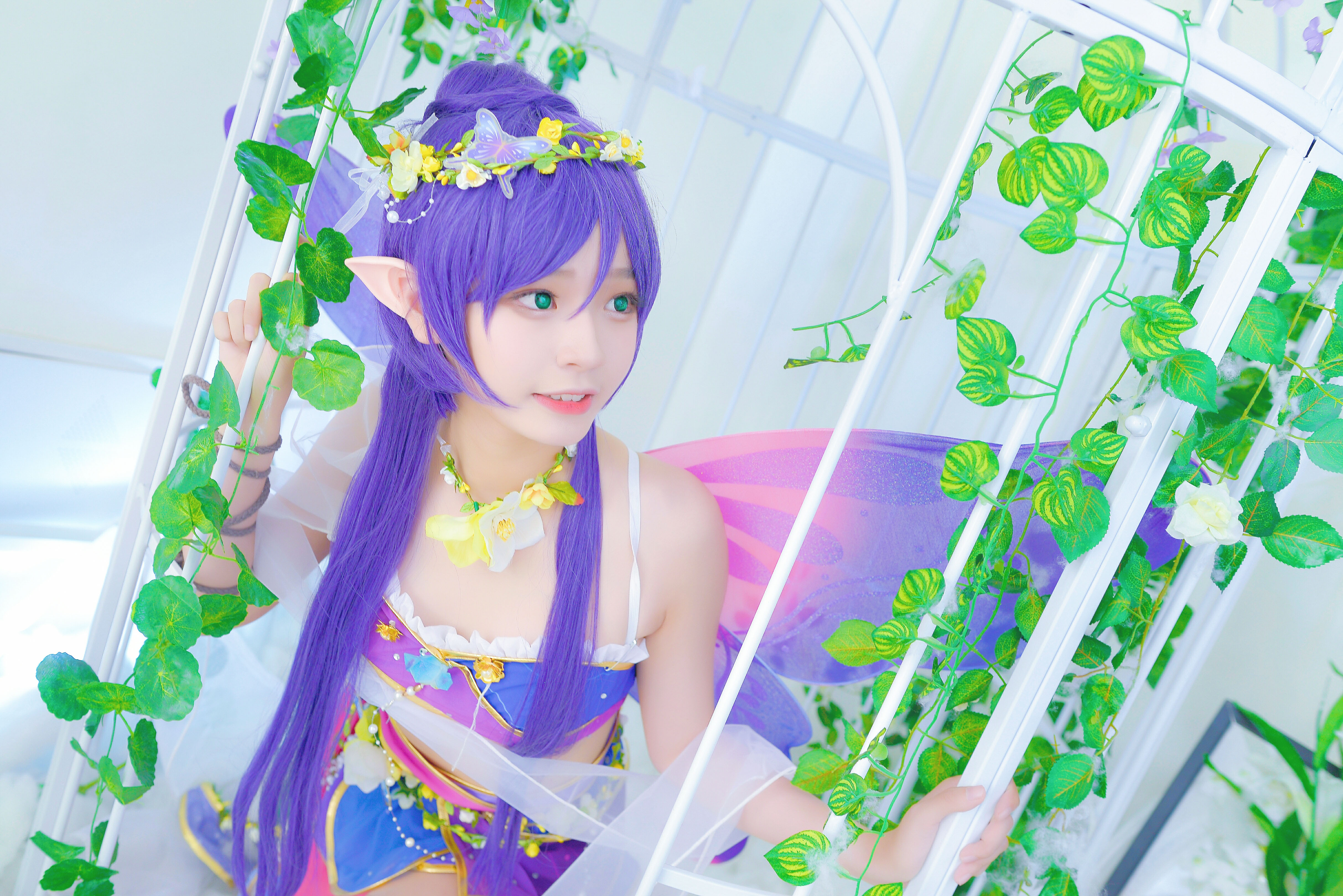 撩人舞姬—阿呆,竟然不颜控!