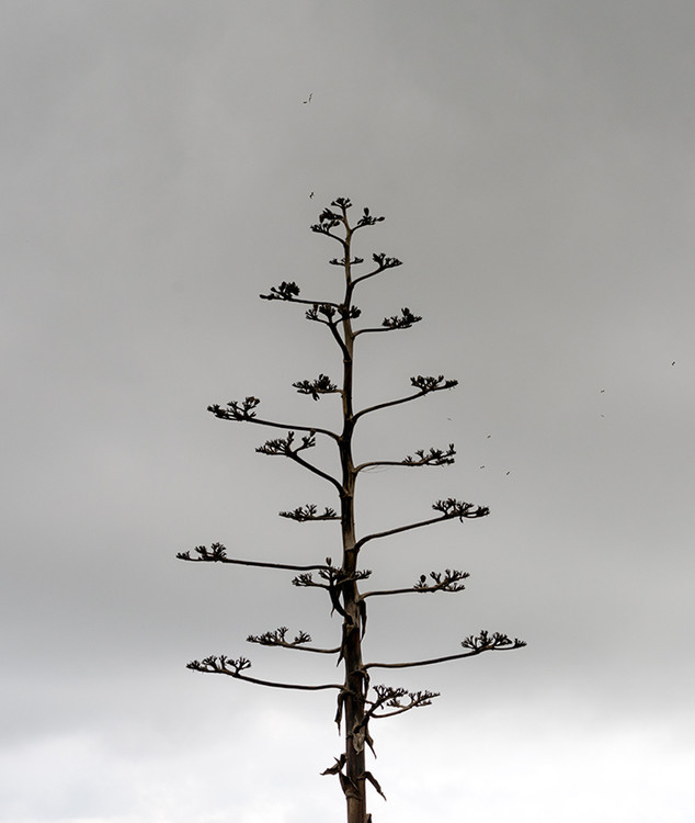 探秘西班牙初识巴塞罗那,西班牙巴塞罗那之行