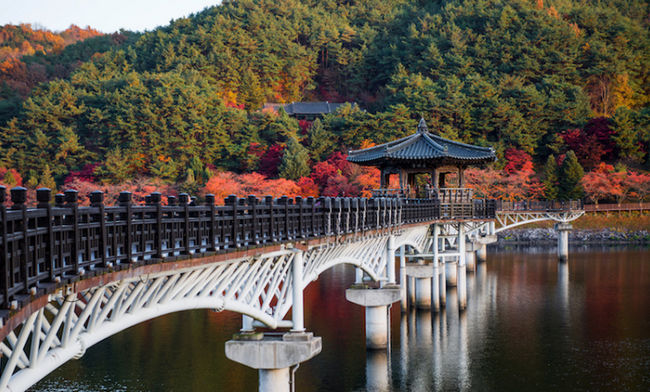 韩国旅游胜地济州岛,韩国济州岛旅游最全攻略