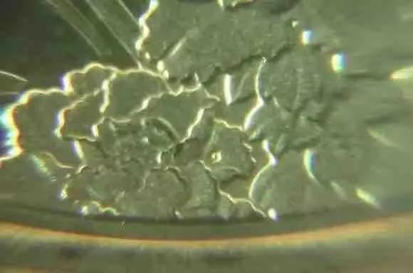 第一轮生肖流通纪念币暗记,流通纪念币图册