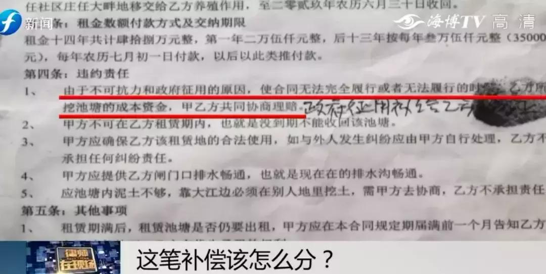 闹心|眼看快收成了,却遇上了麻烦事!这笔清退补偿究竟该怎么分?