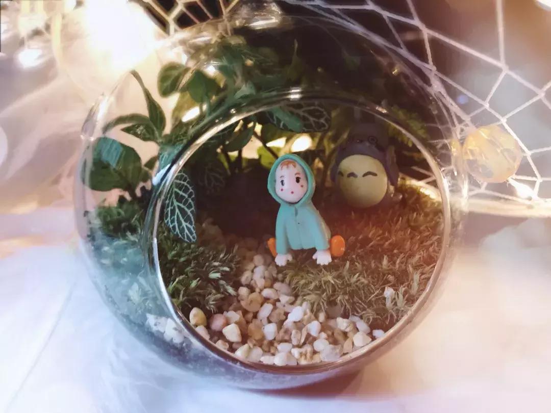 惠民福利活动,暖心福利优惠活动