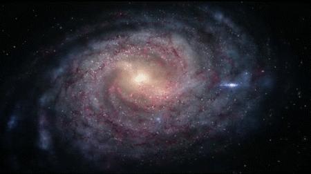 人类其实就是一个细胞,人类其实是宇宙的细胞