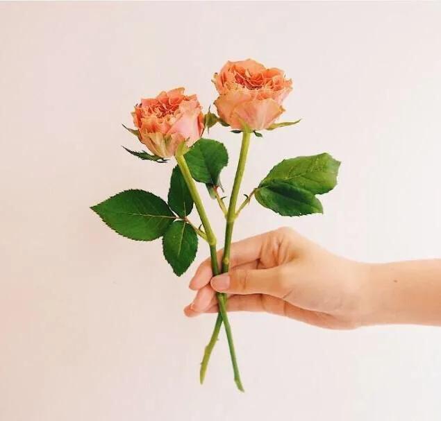 给情人发伤心的晚安暖心话,和情人道晚安暖心话