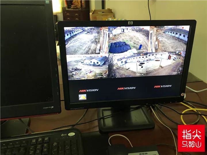 马鞍山流浪狗救助中心在哪里,曝光流浪狗救助真相