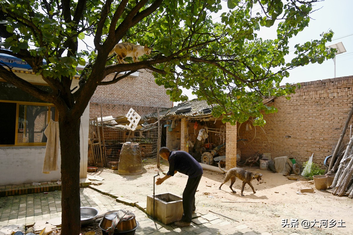农村夫妻大锅做菜,农村大娘炒辣子鸡