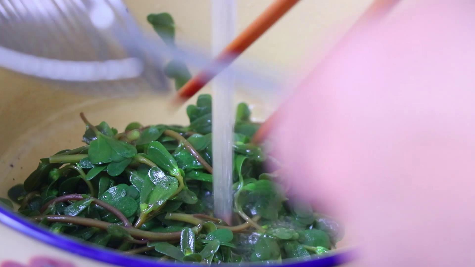 马齿苋怎么做好吃又简单家常,马齿苋怎么做好吃又简单