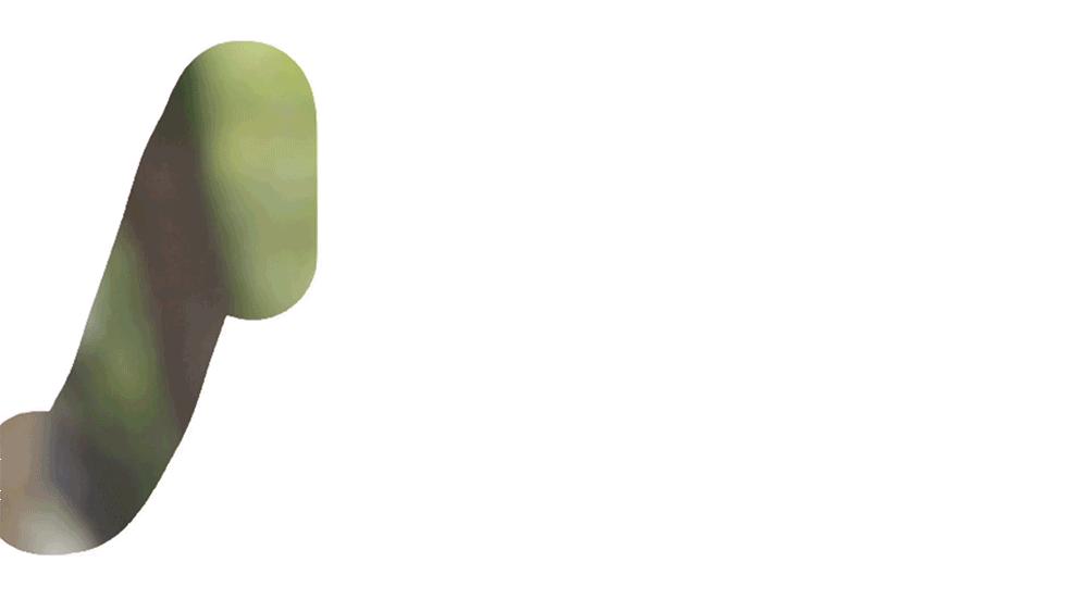 星爸爸情人节限定,星爸爸圣诞限定