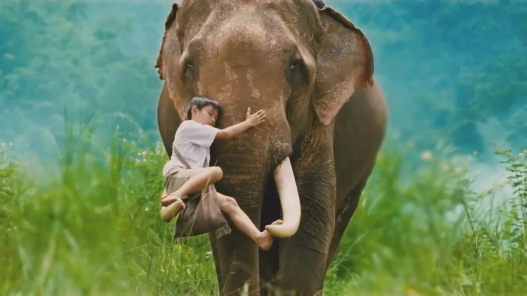 托尼贾金星初露锋芒,托尼贾金星完整视频