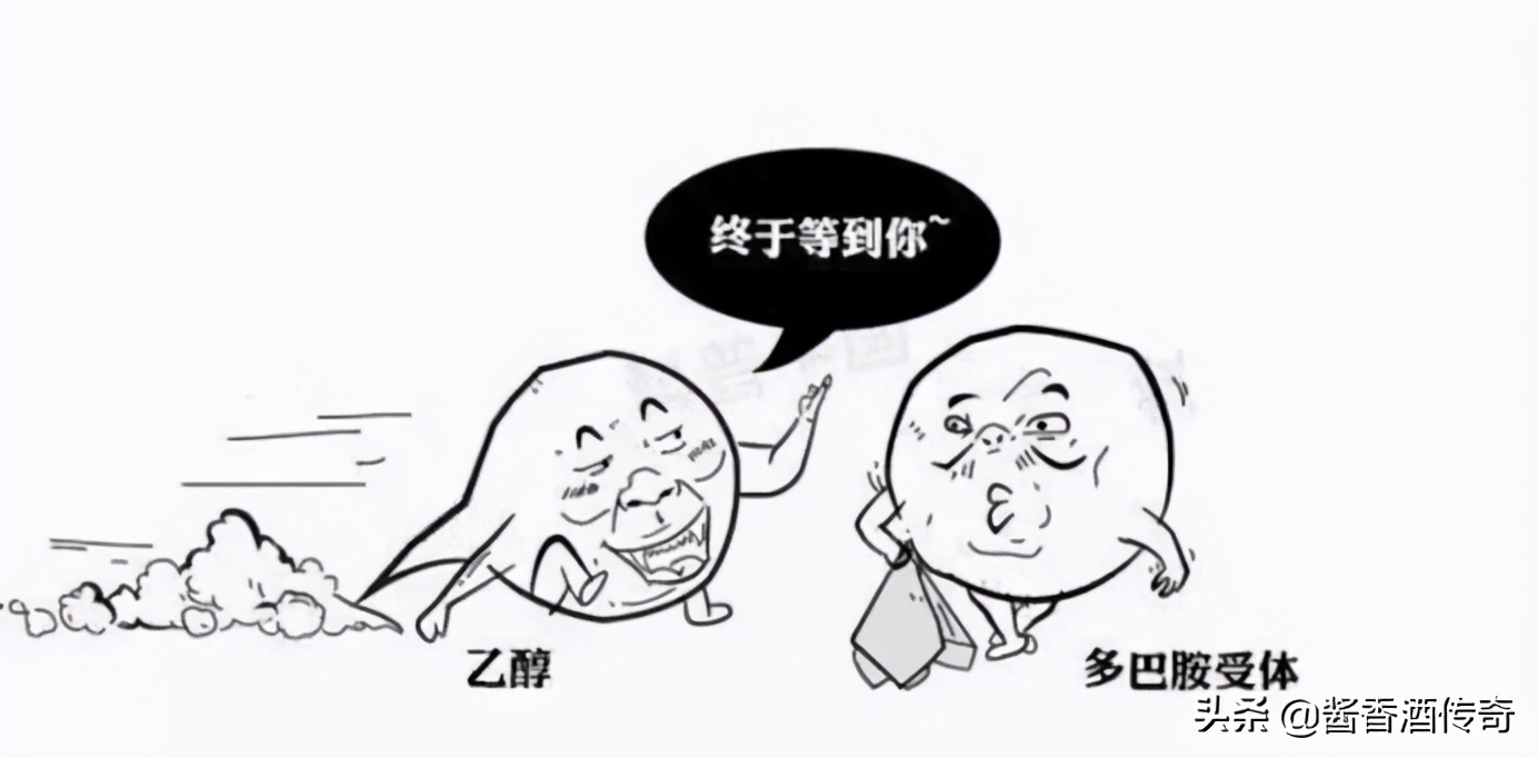 喝酒吐真言还是酒后说胡话,酒后不仅吐真言也说胡话