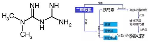 五大类口服降糖药常用剂量,口服降糖药六大类口诀