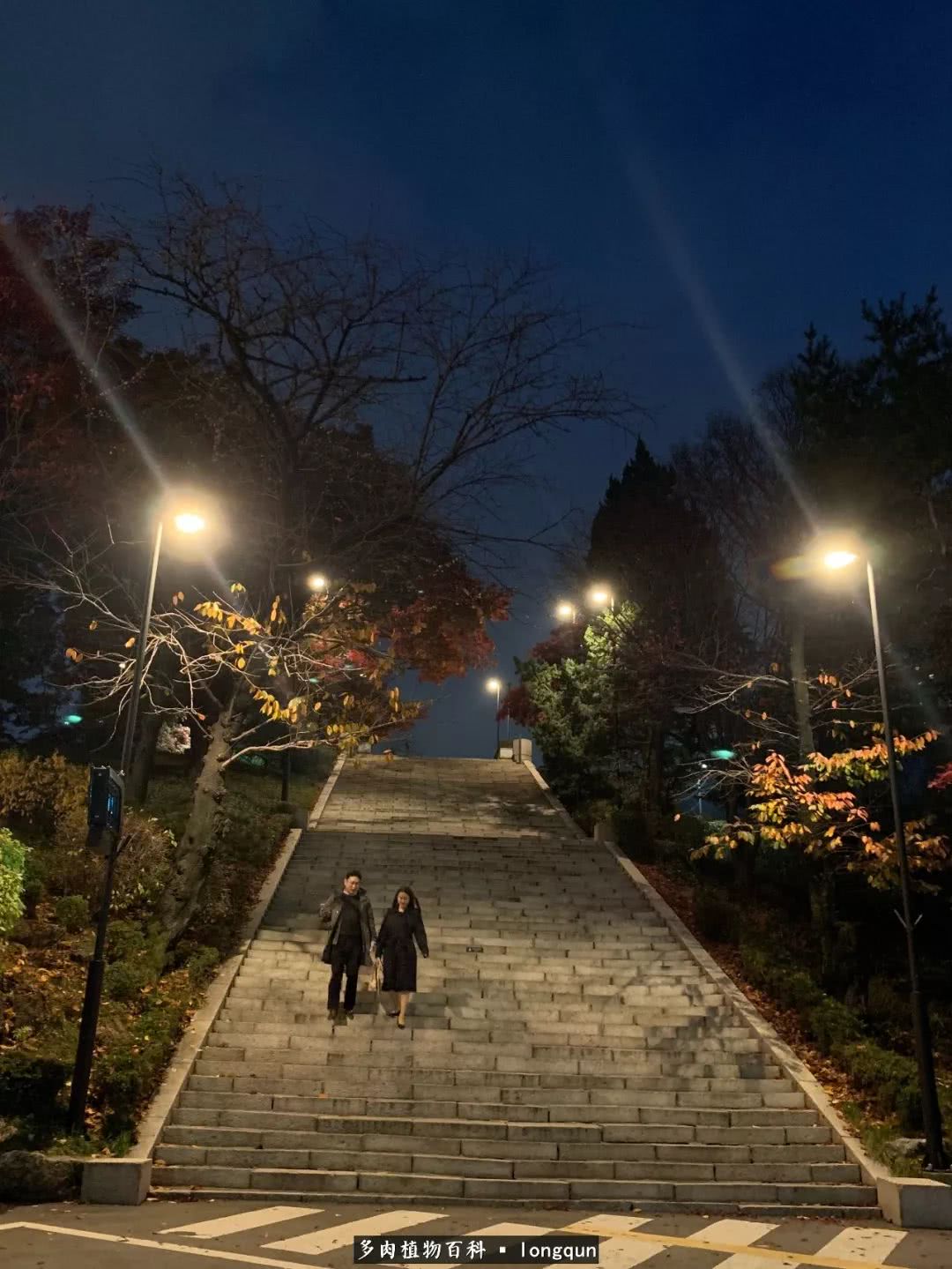 肉叔带你走遍韩国多肉大棚,记一次精彩的采摘之旅