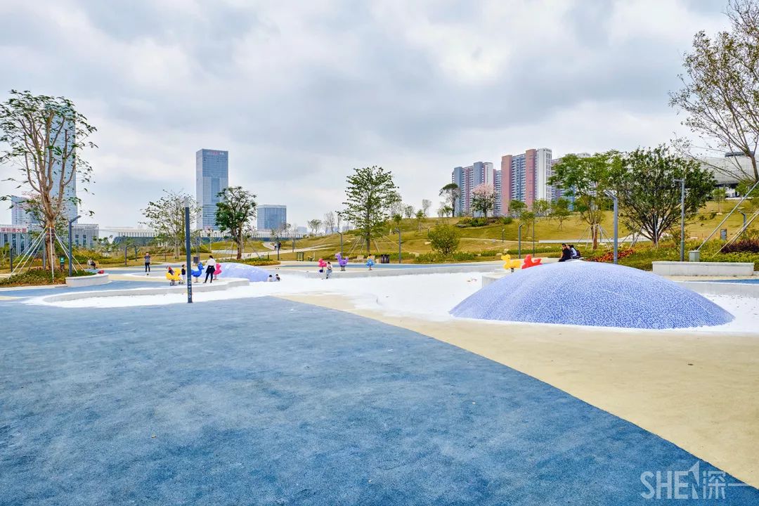 龙华新公园在哪里,深圳龙华区免费的公园