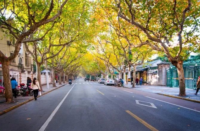 老上海50个符号,能代表上海的词语