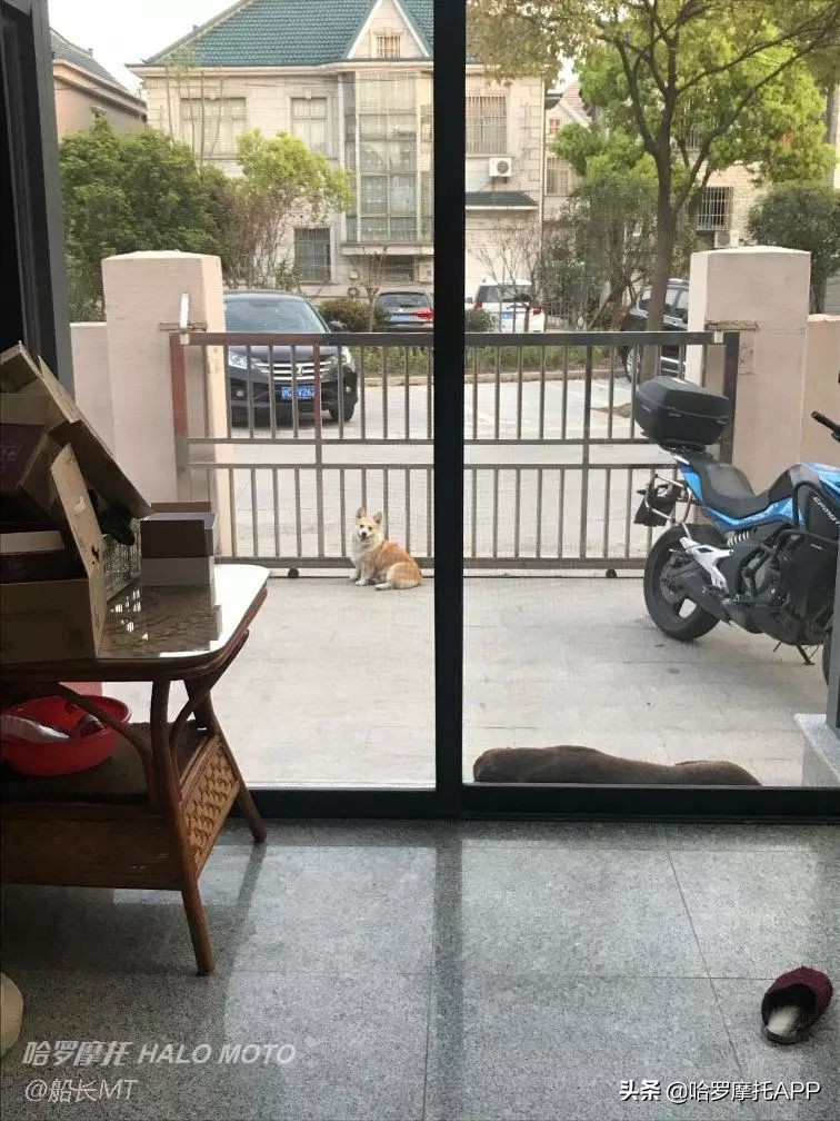 春风650gt骑行感受,骑行春风650nk