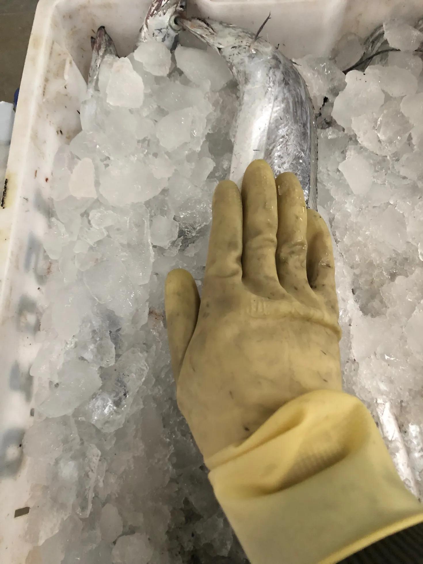 今天和大家聊聊在电商平台和一些直播地方买的海鲜水到底多少深