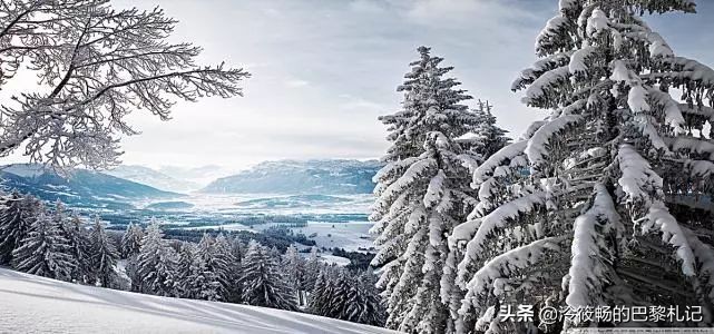 平价春夏男士香水,男女通用国际大牌香水