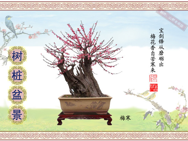 鑰侀甫鏍戞々鐩嗘櫙,鏍戞々鐩嗘櫙閫犲瀷