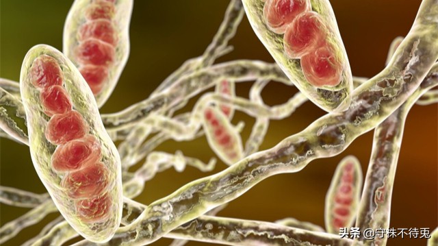 19个冷知识,19个冷知识分享