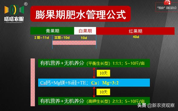 专访嗒嗒农服吴迪：深度聚集，技术为王，走出不一样的农服路