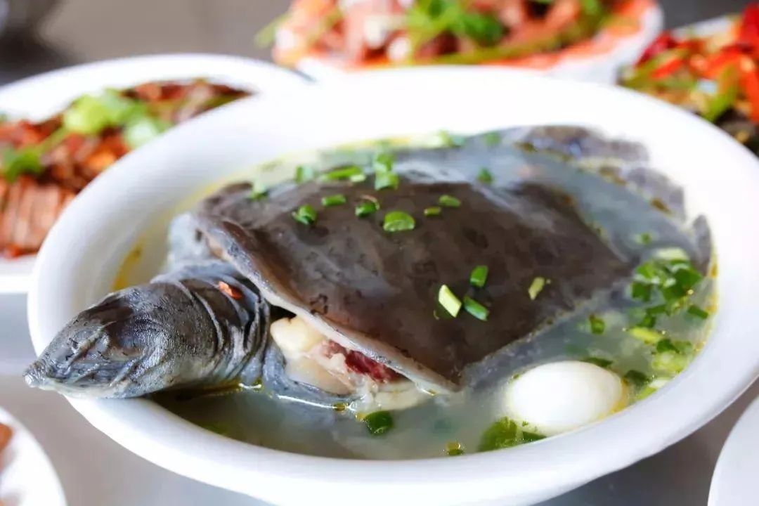 我愿为你上天揽月下五洋捉鳖,为你上九天揽月为你下五洋捉鳖