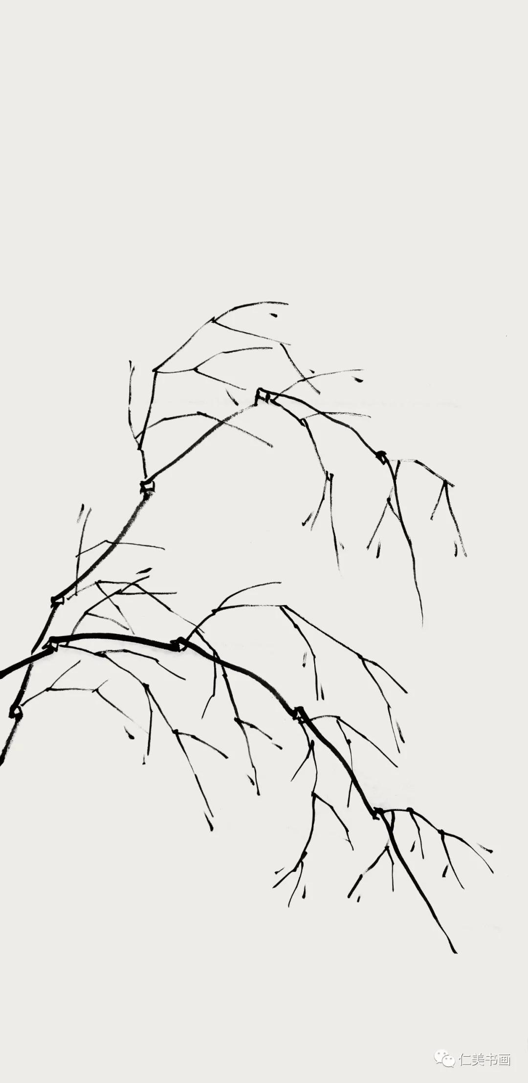 大师示范竹子竹叶的画法,一分钟教你竹叶的四种画法