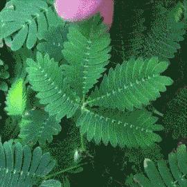 一喝酒就腹泻怎么治,一喝酒就腹泻中医辨证