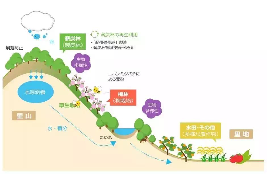 日本一线城市日本人少,日本一线二线三线人口