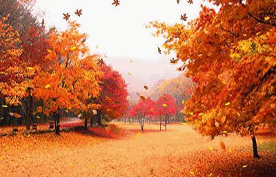 枫叶适合什么颜色的衣服,红叶穿什么颜色衣服好看