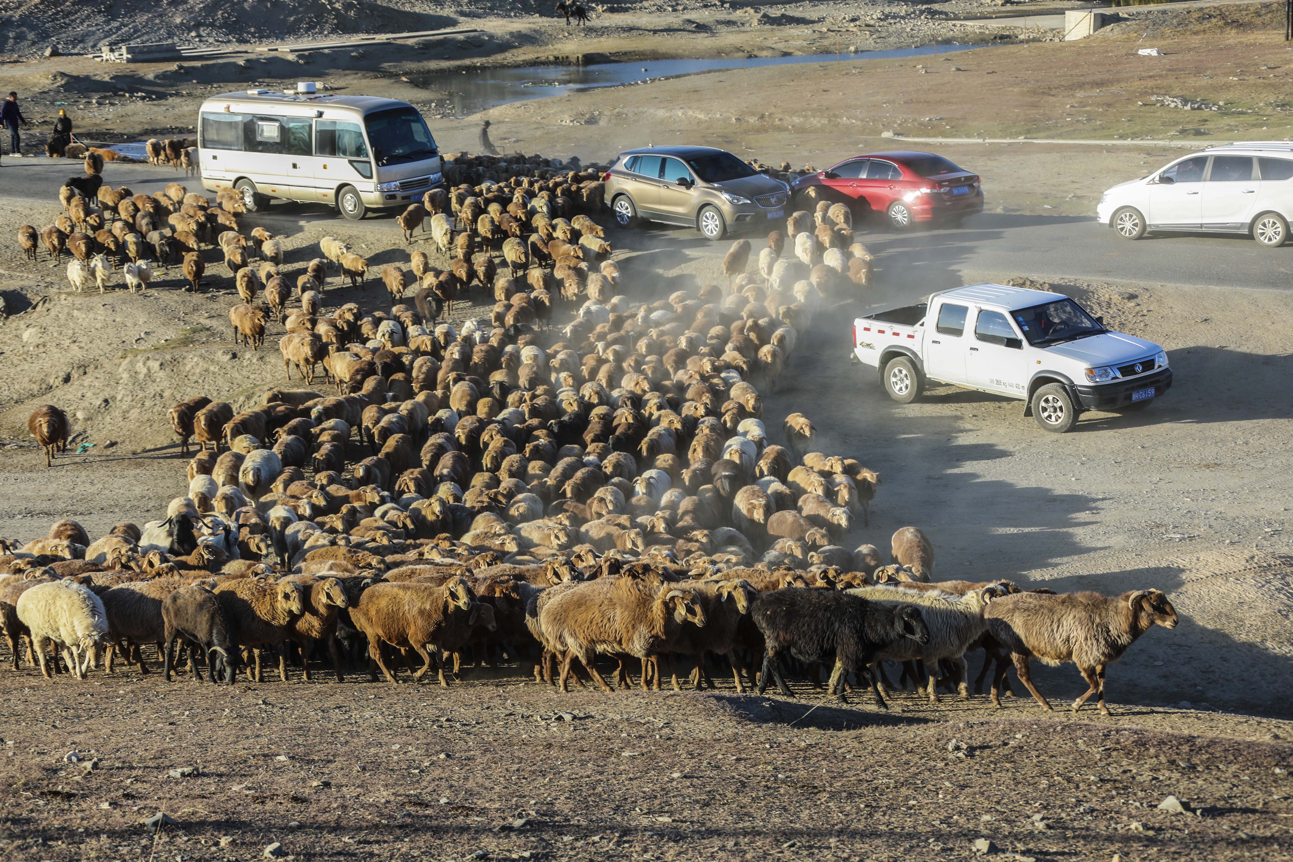 绮丽的原生态牧场,秀美善良的哈萨克姑娘,我的*疆新**南山牧场艳遇