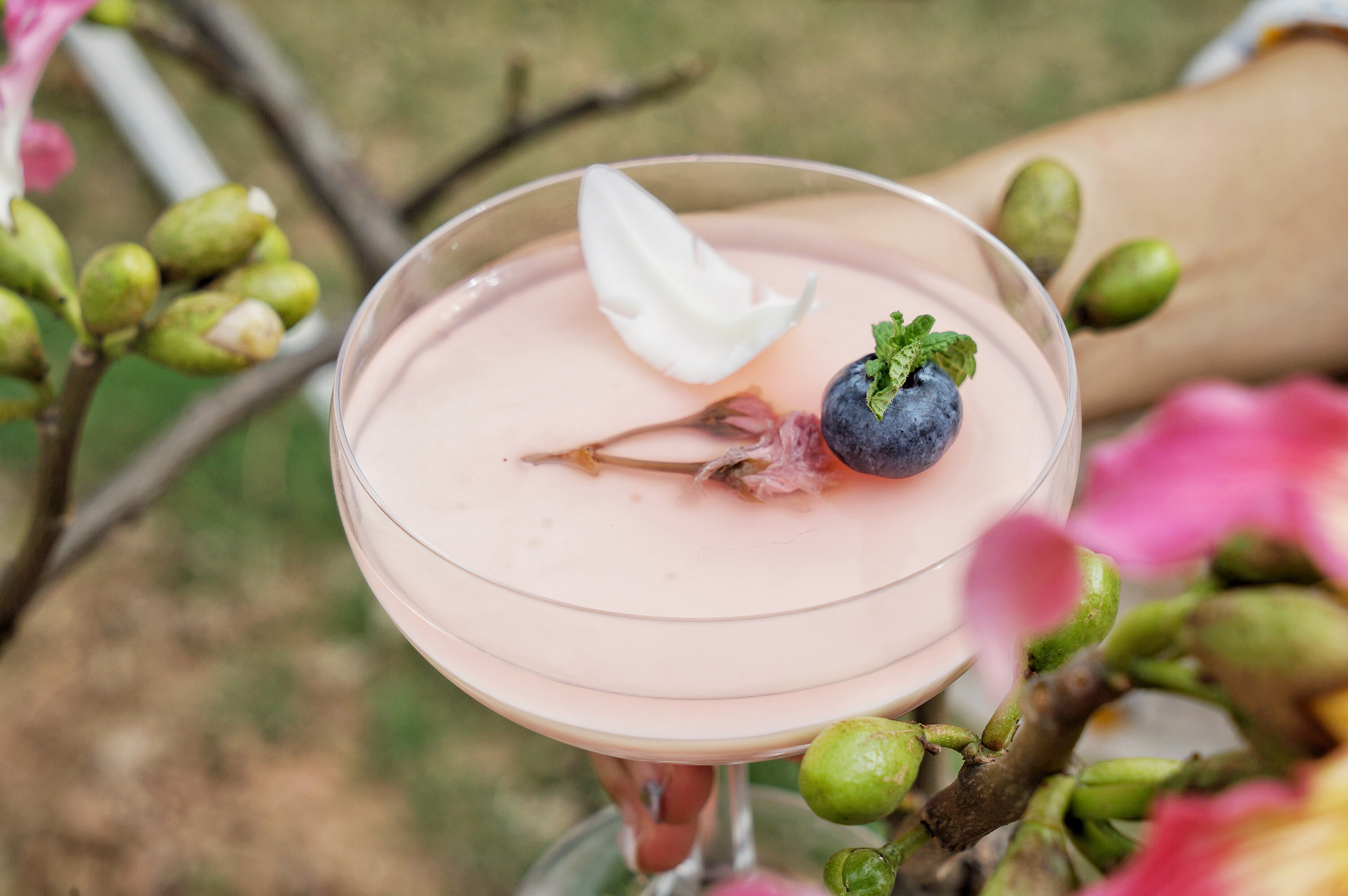 广州粉色浪漫花海,广东秋天粉色花海