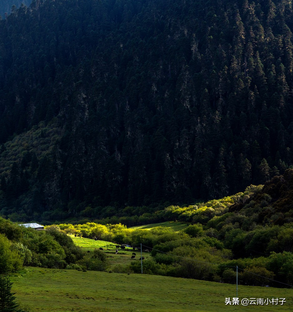玛娜茶金观景点,玛娜茶金观景台旅游攻略