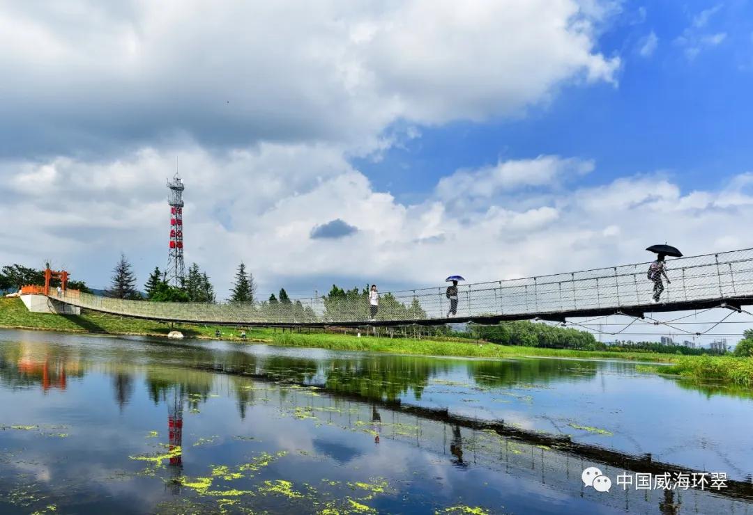 打造中德生态城、西展新高地，羊亭镇奏响“攻坚突破”发展强音