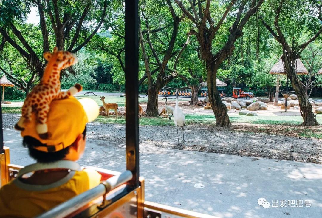 长隆飞鸟乐园怎么去长隆欢乐世界,汉溪长隆地铁站去长隆飞鸟乐园