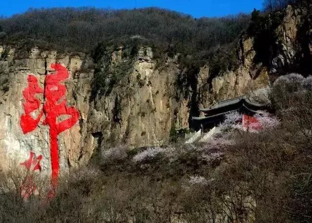 我叫石家庄，这是我2019年最新简历，请多关照！