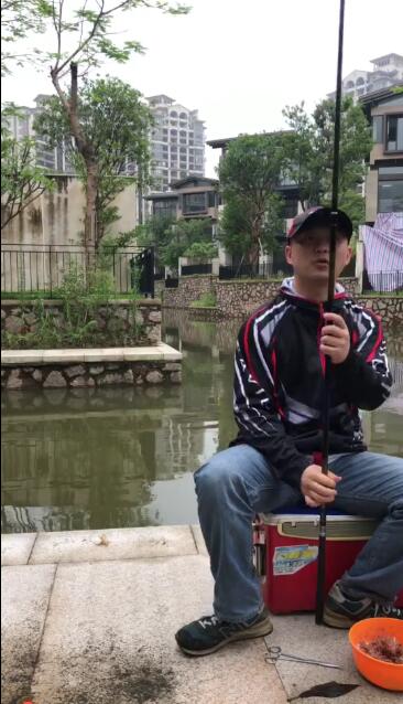 新秀作鲤上市时间,新秀作鲤评测